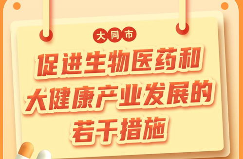 大同市人民政府门户网站 惠民政策与补贴查询的官方指南